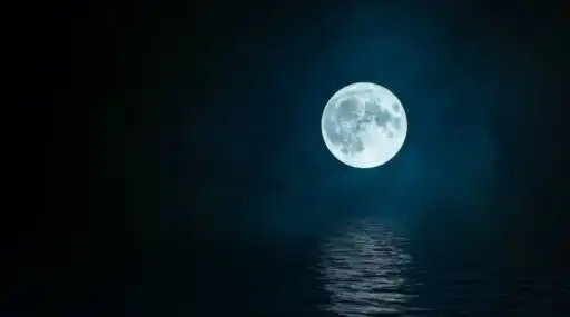 Noches de Bohemia
