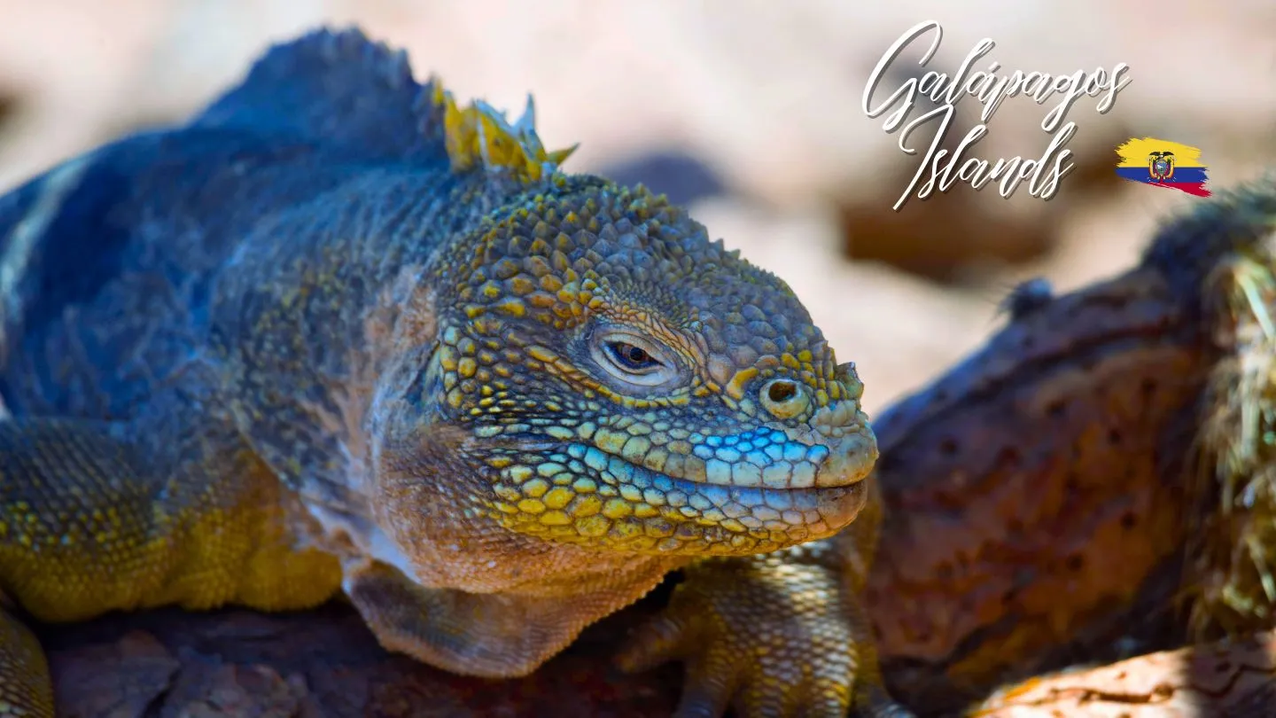 Galapagos Islands