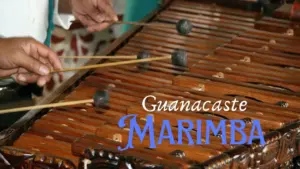 Music of Costa Rica: A Deep Dive into the Musical Tapestry of Pura Vida 15 Guanacaste Marimba Ensemble: Resonating Tradition and The Captivating Journey