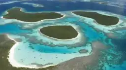 Venezuelaunique Image source: Canva