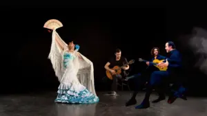 Irene and Rocio new promises of flamenco 4 Flamenco is an art full of passion