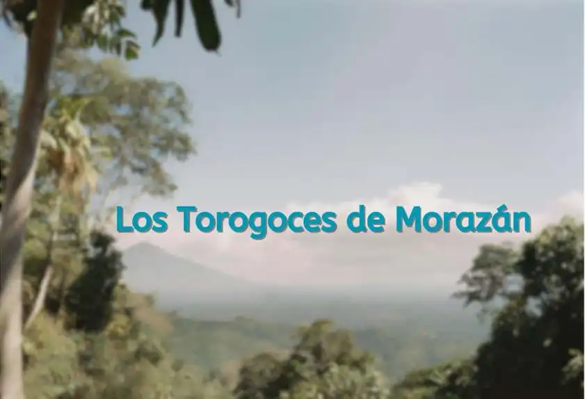 Los Torogoces de Morazan2 1