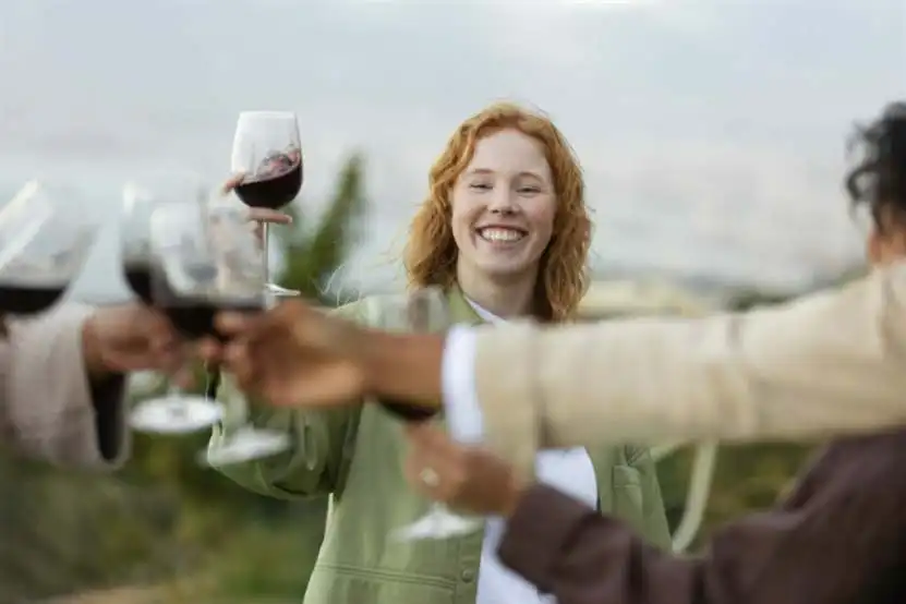 friends toasting with glasses wine during outdoor party