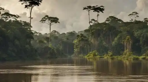 UNESCO en Bolivia