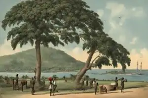 Radios en Guinea Ecuatorial 340 Historia de Guinea Ecuatorial