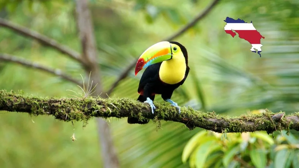Costa Rica